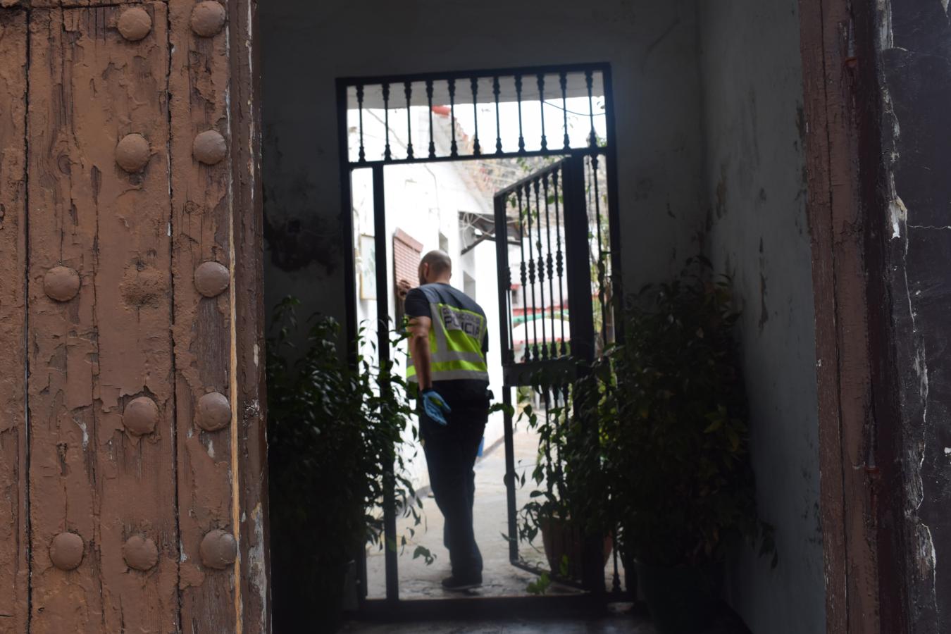 Desmantelada una plantación de marihuana en pleno centro de El Puerto