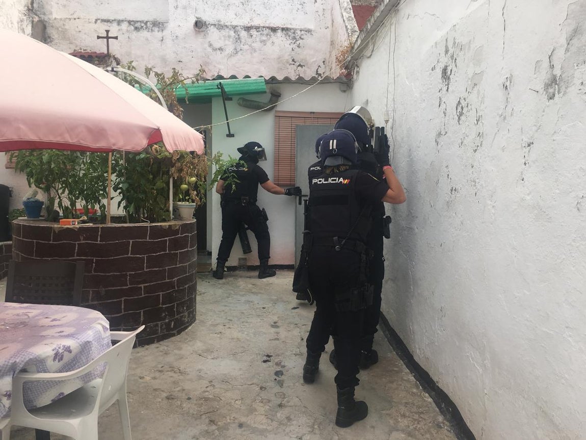 Desmantelada una plantación de marihuana en pleno centro de El Puerto