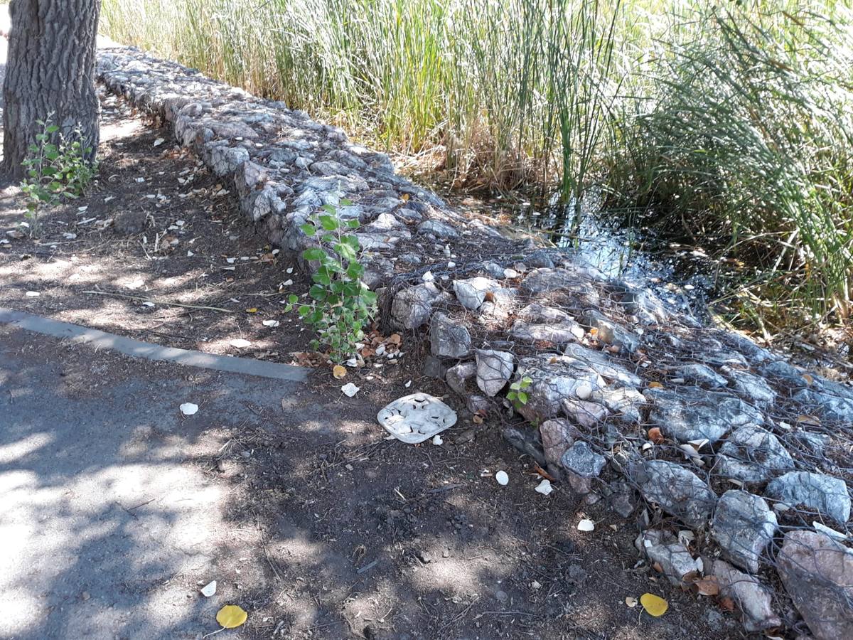 El deterioro del Parque de Miraflores, en imágenes