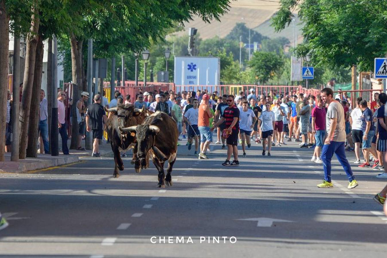 Yuncler se vuelca con su encierro taurino