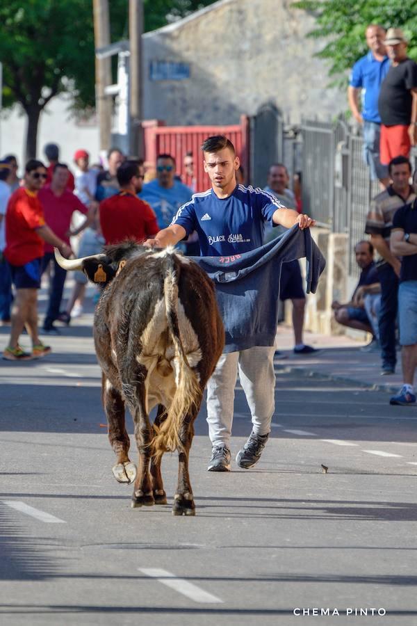 Yuncler se vuelca con su encierro taurino