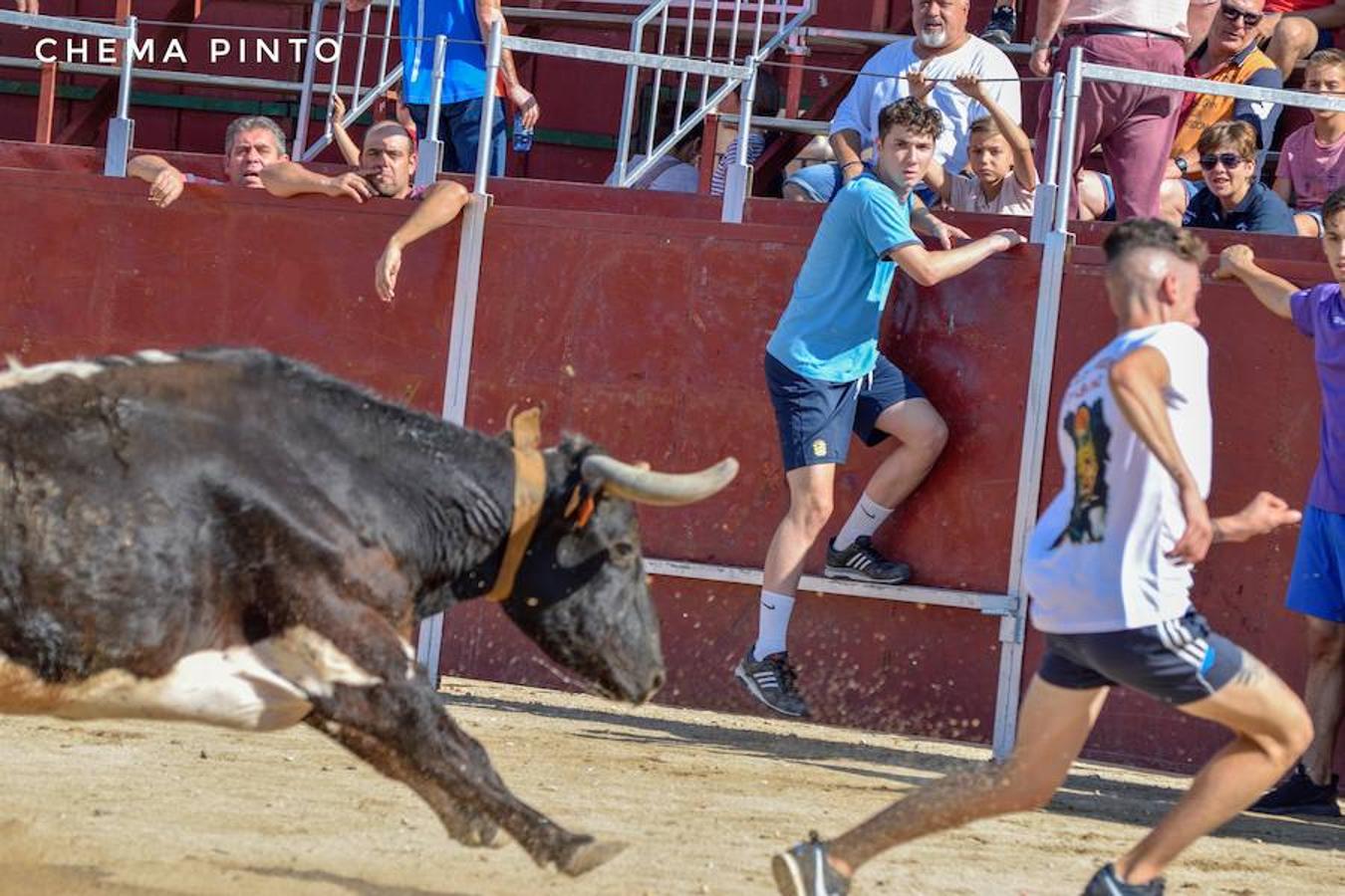 Yuncler se vuelca con su encierro taurino