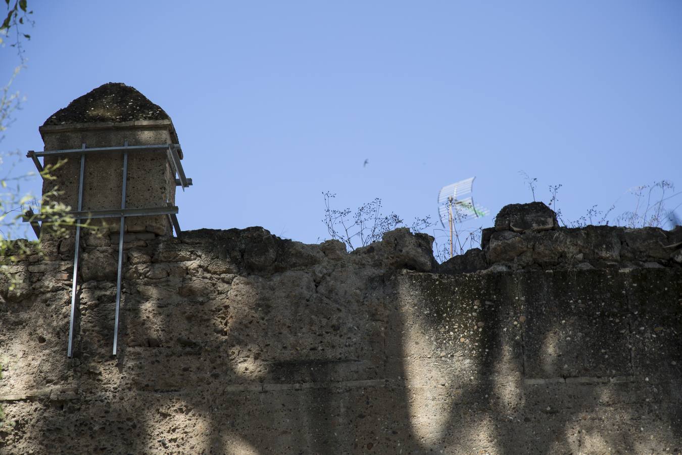Cs denuncia el deterioro de la muralla de la Macarena