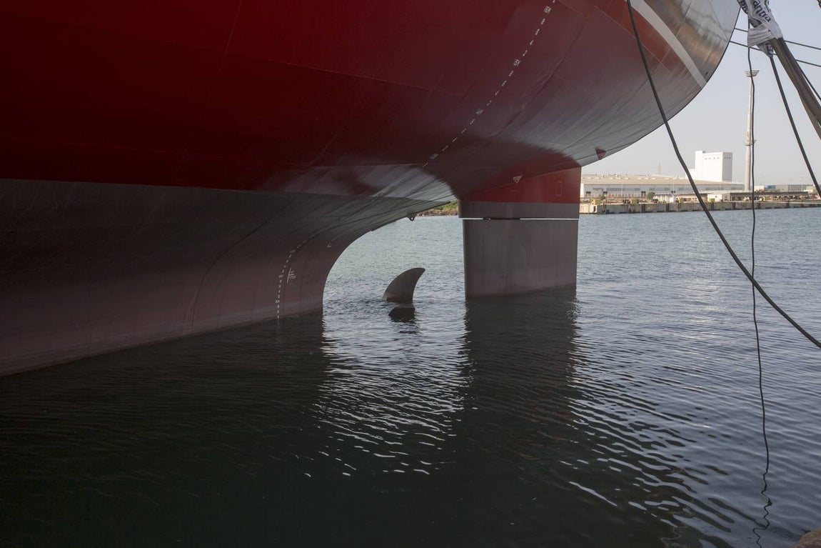 Navantia entrega su petrolero &#039;Monte Urbasa&#039;