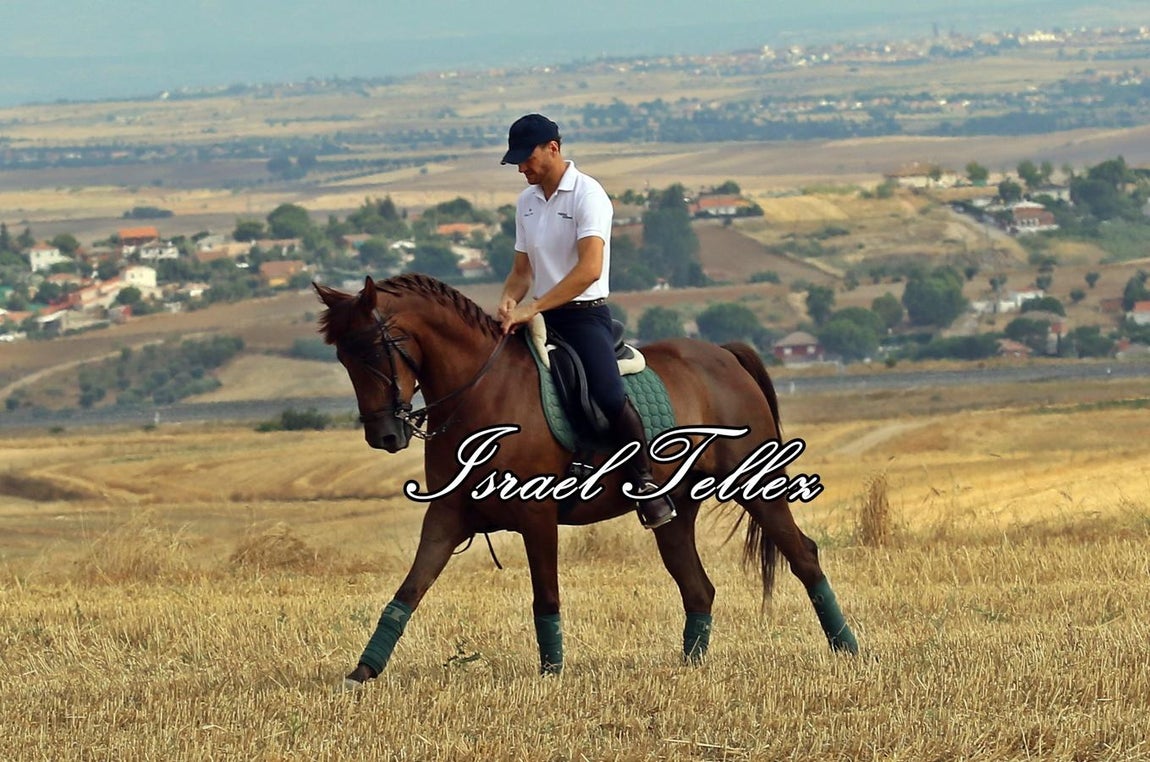 Homenaje a la trashumancia en Lominchar