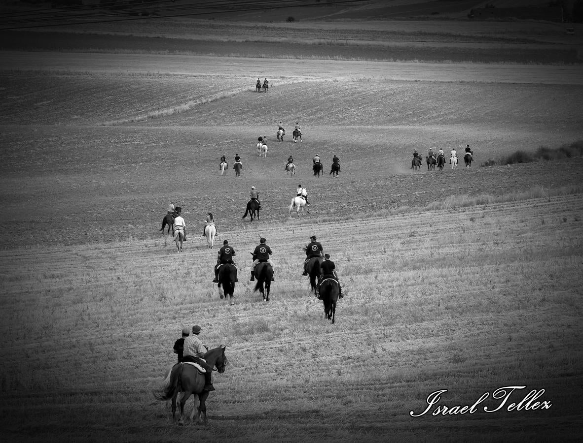 Homenaje a la trashumancia en Lominchar