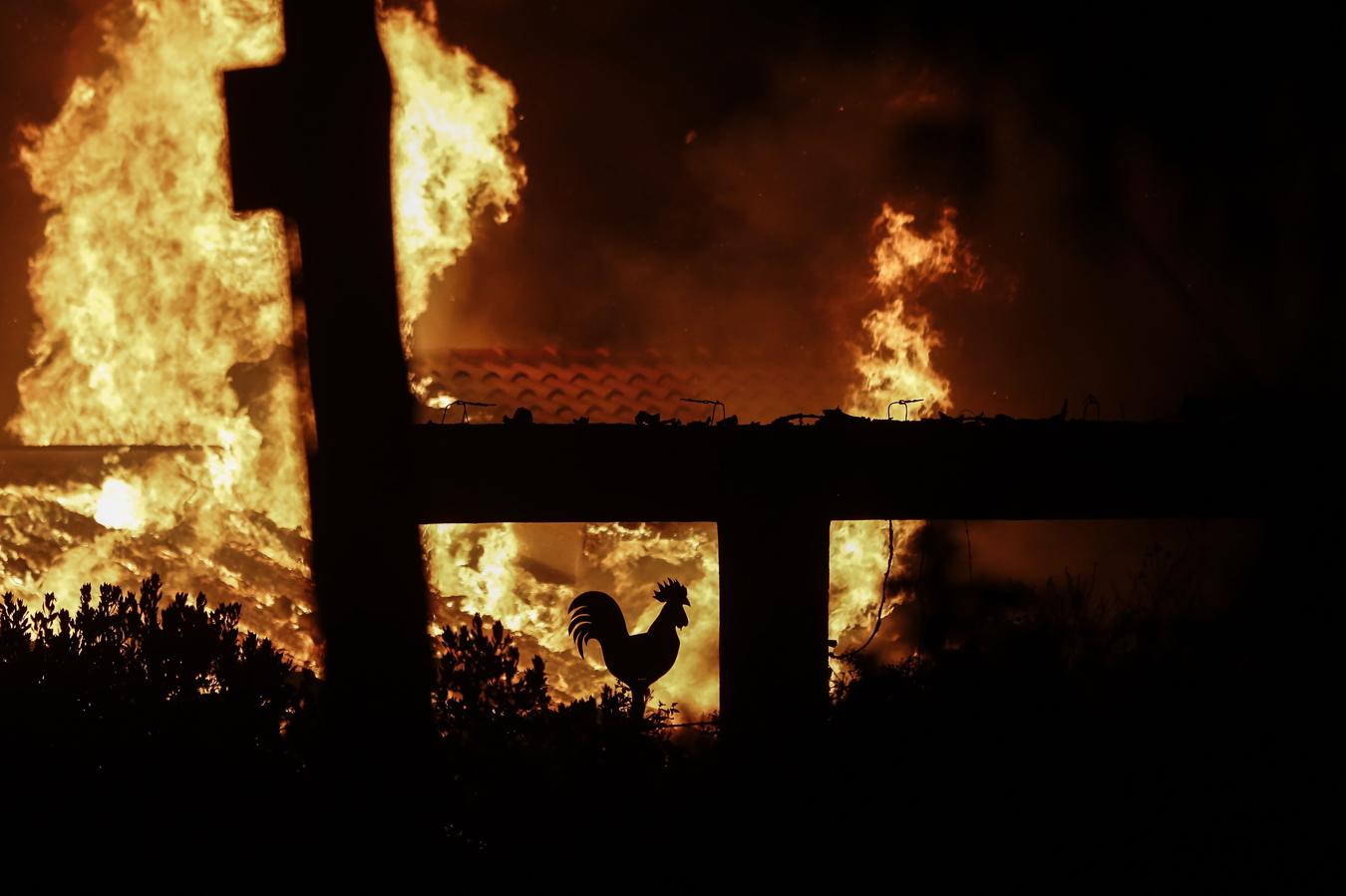 Una vivienda arde en llamas durante un incendio forestal en Mati, un suburbio al noreste de Atenas (Grecia). 