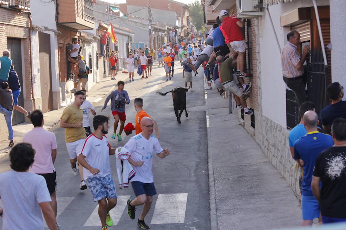 Las fiestas de La Puebla se despiden con gran éxito de afluencia