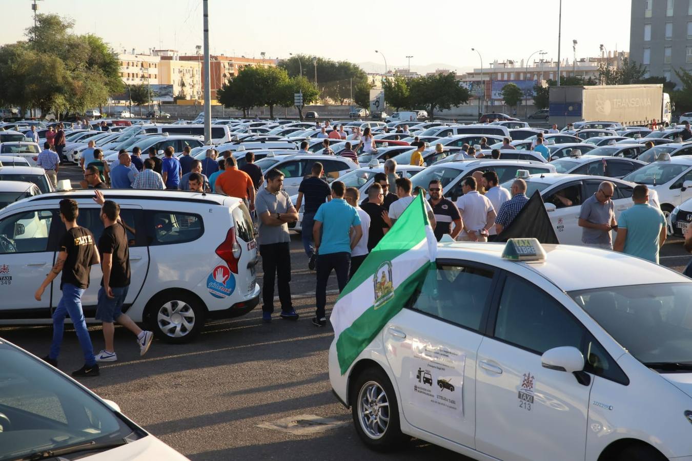 La marcha de los taxistas por Córdoba, en imágenes