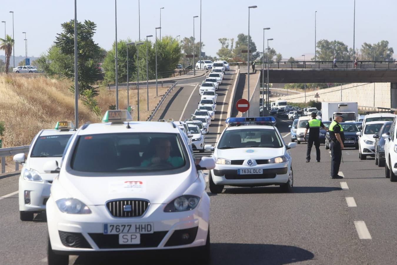 La marcha de los taxistas por Córdoba, en imágenes