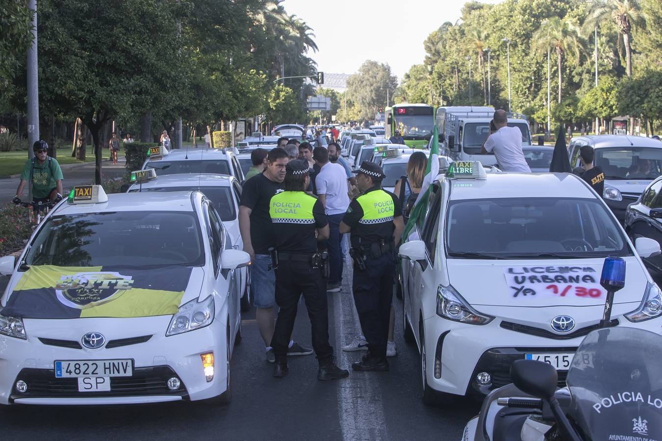 La marcha de los taxistas por Córdoba, en imágenes