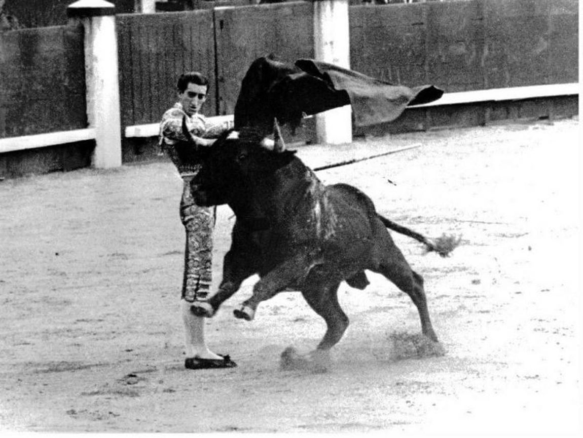 Faena en Las Ventas. 