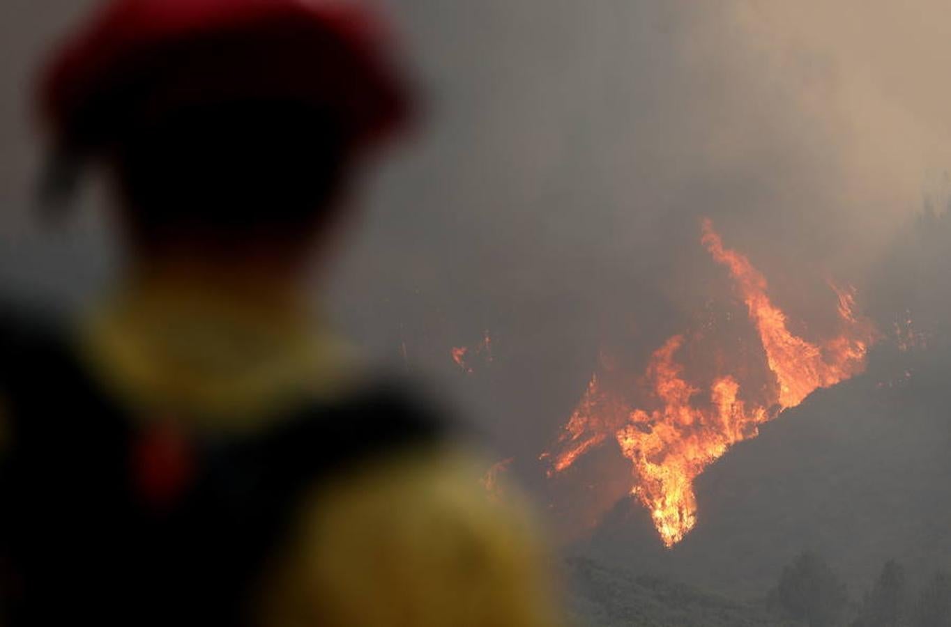 Los quince incendios de California han arrasado ya 113.300 hectáreas. 