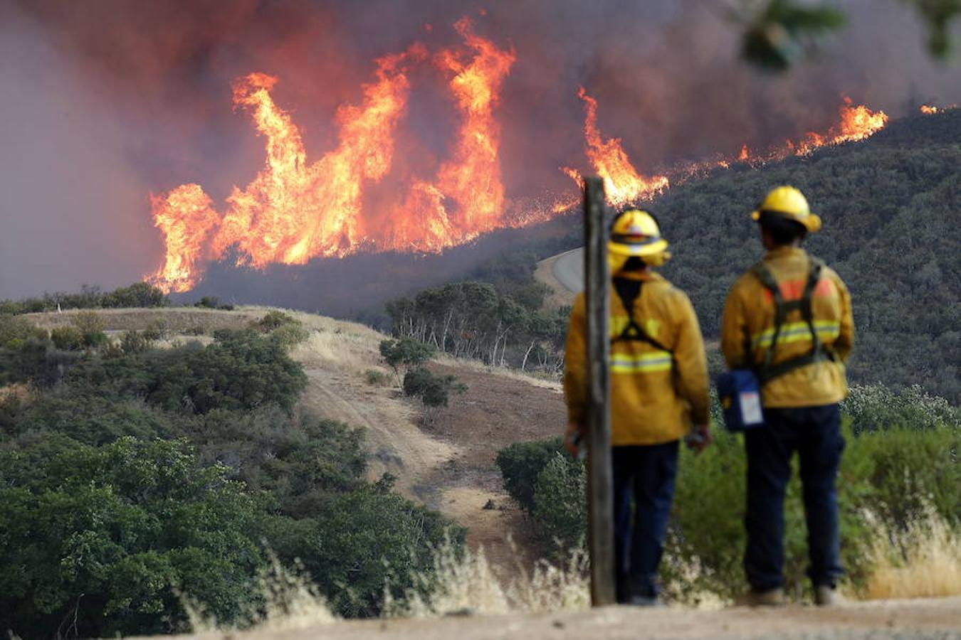 Los quince incendios de California han arrasado ya 113.300 hectáreas. 