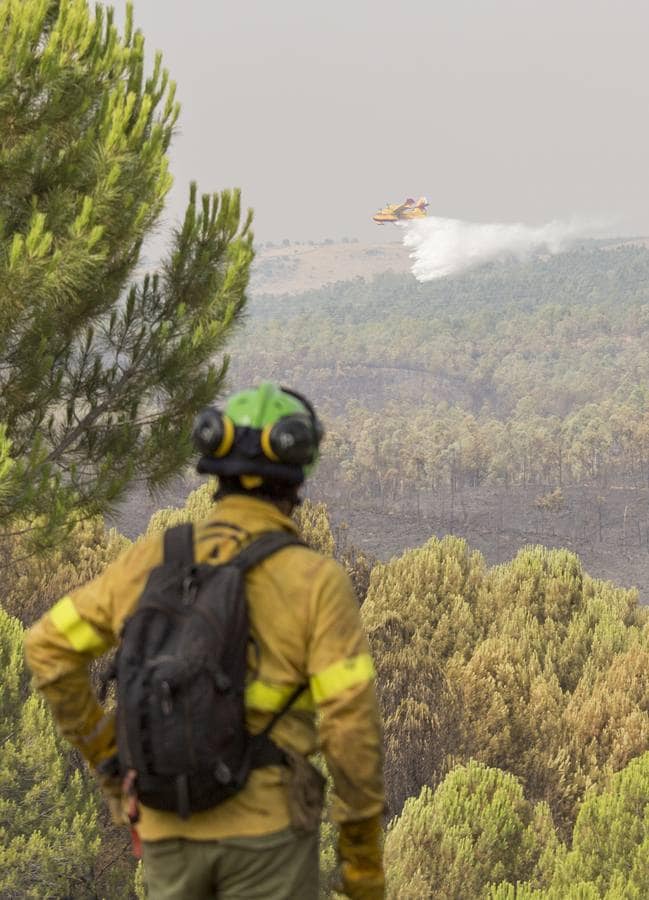Espectaculares imágenes del incendio de Almonaster la Real