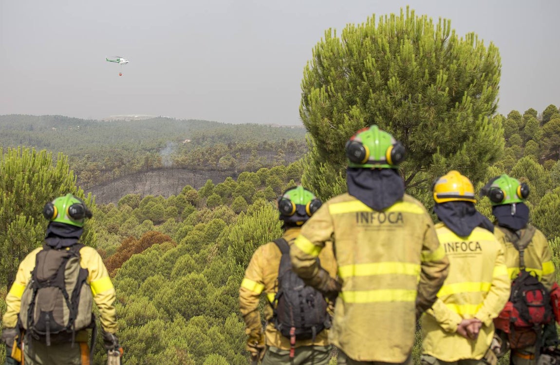 Espectaculares imágenes del incendio de Almonaster la Real