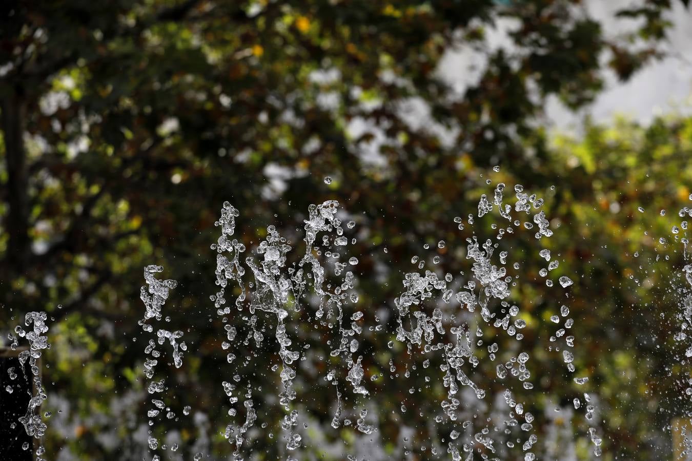 Las fuentes, un recurso contra el calor en Córdoba, en imágenes