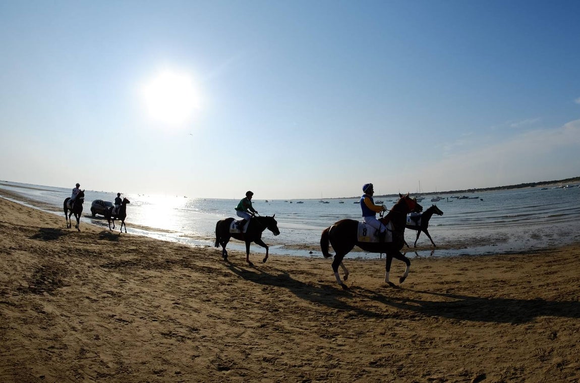 Los caballos vuelven a tomar la playa de Sanlúcar de Barrameda