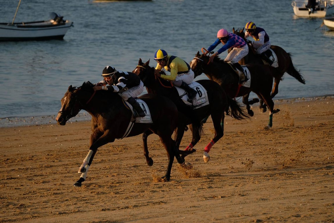 Los caballos vuelven a tomar la playa de Sanlúcar de Barrameda