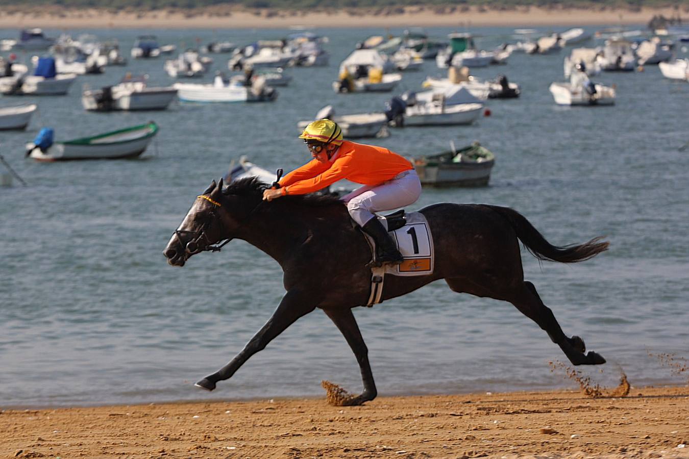 Segundo ciclo de Carreras de Caballos de Sanlúcar