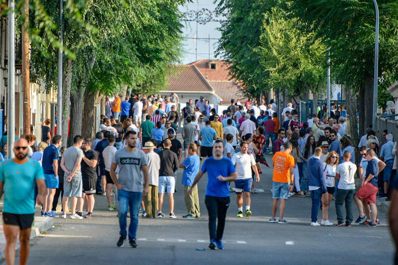 Segundo encierro de las fiestas de Añover