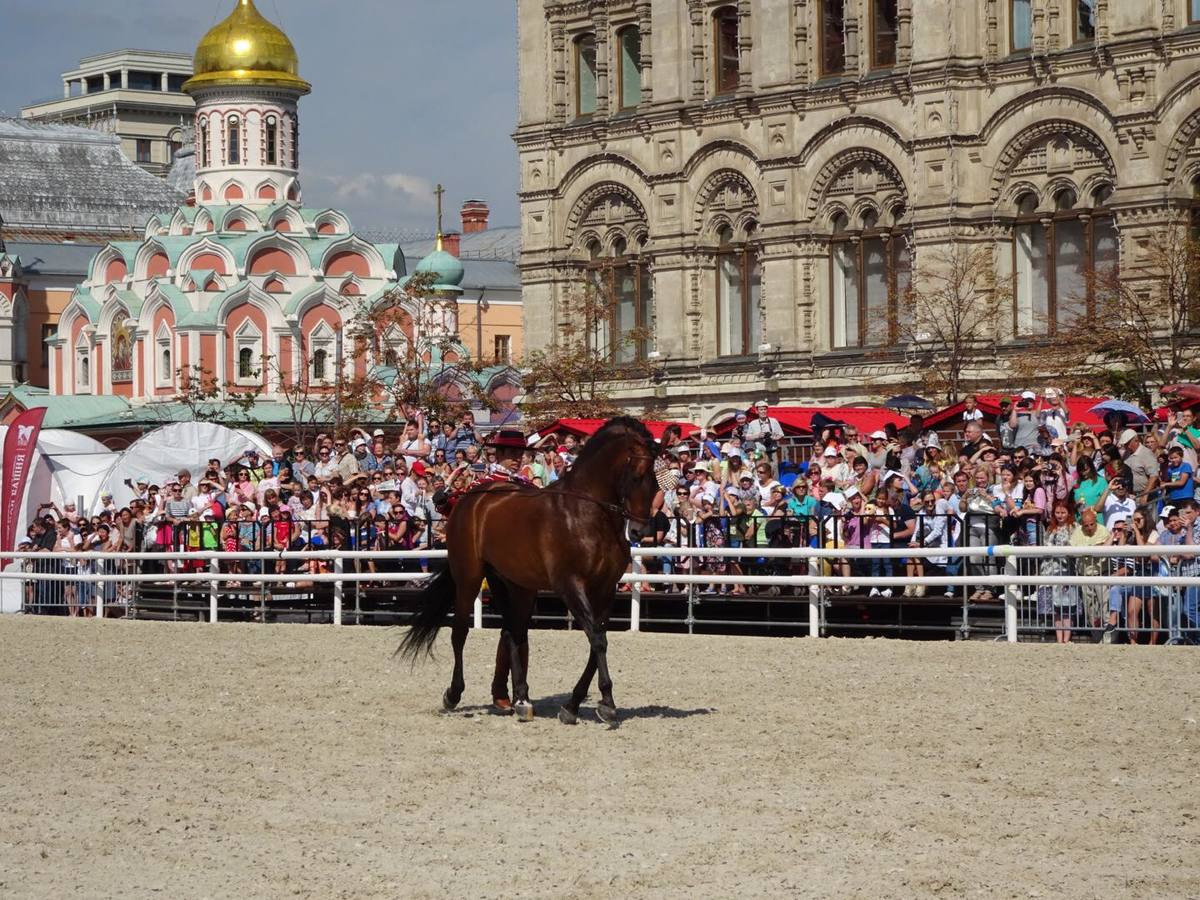 Fotogalería: Córdoba Ecuestre se luce en Moscú