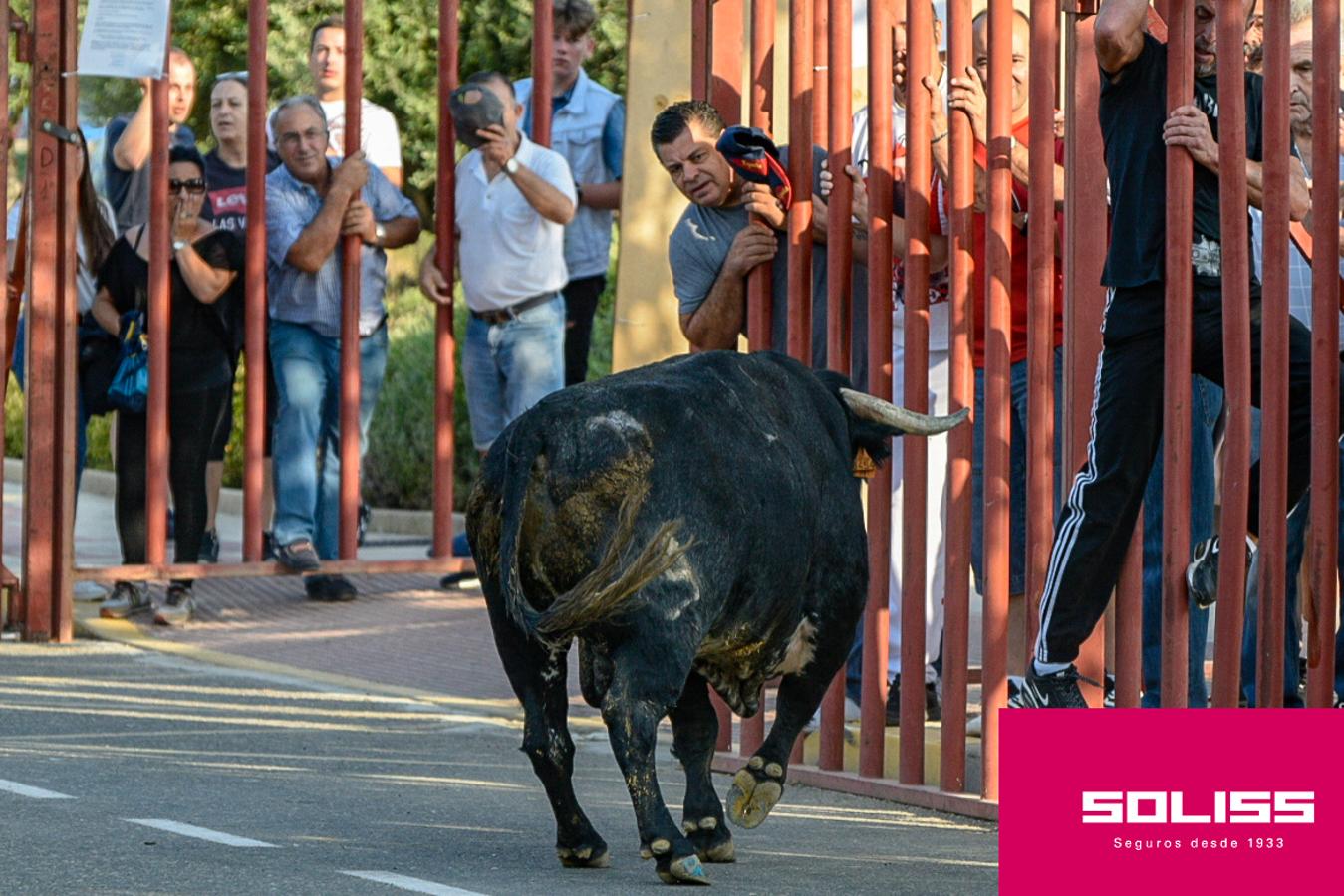 Primer encierro de las fiestas de Illescas