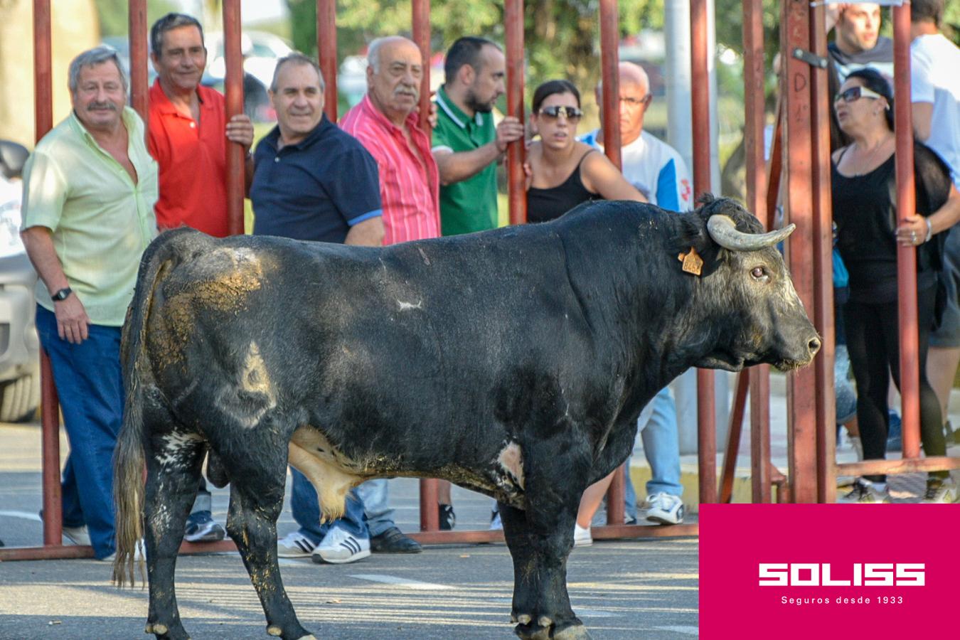 Primer encierro de las fiestas de Illescas