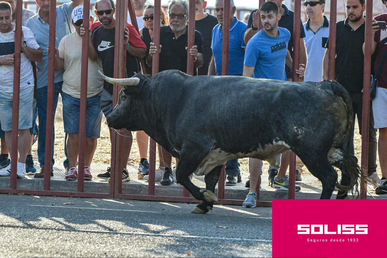 Primer encierro de las fiestas de Illescas