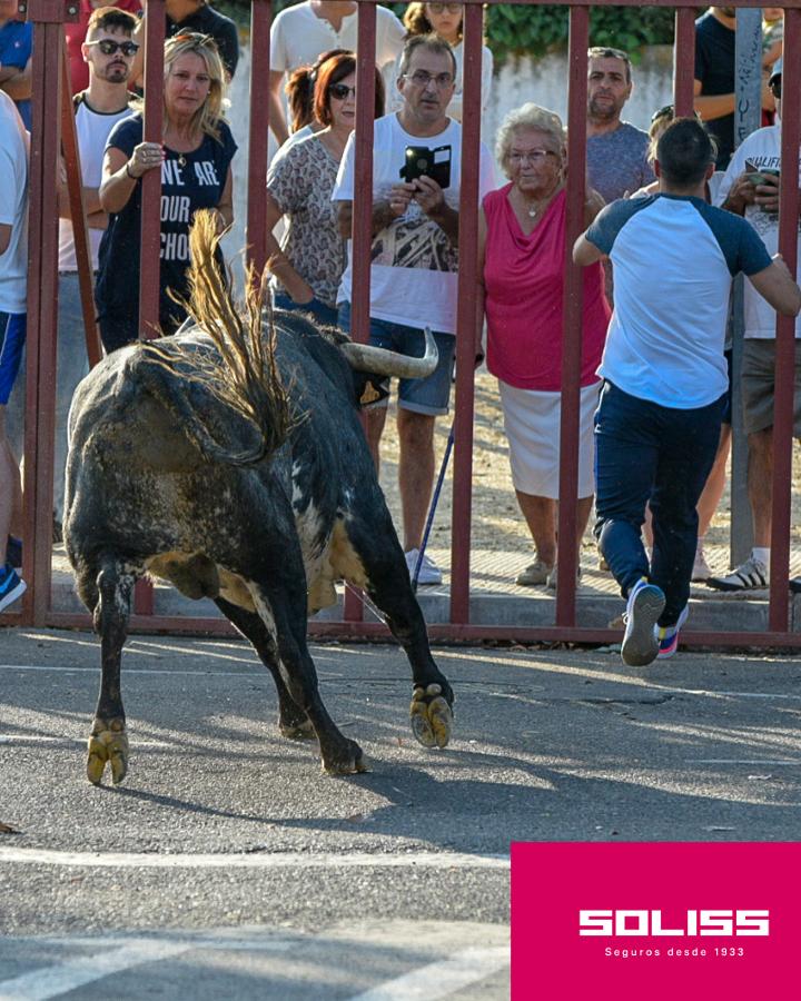 Primer encierro de las fiestas de Illescas