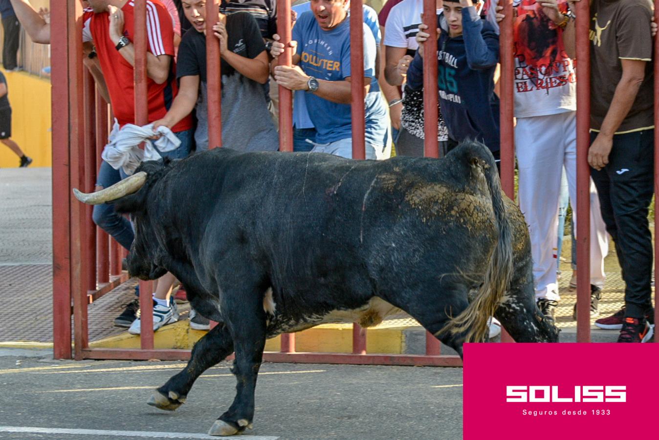 Primer encierro de las fiestas de Illescas