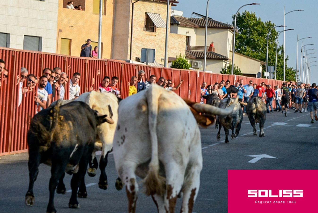 Primer encierro de las fiestas de Illescas