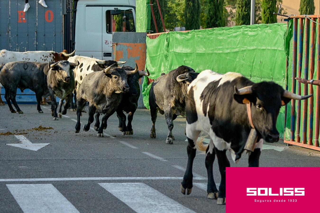 Primer encierro de las fiestas de Illescas