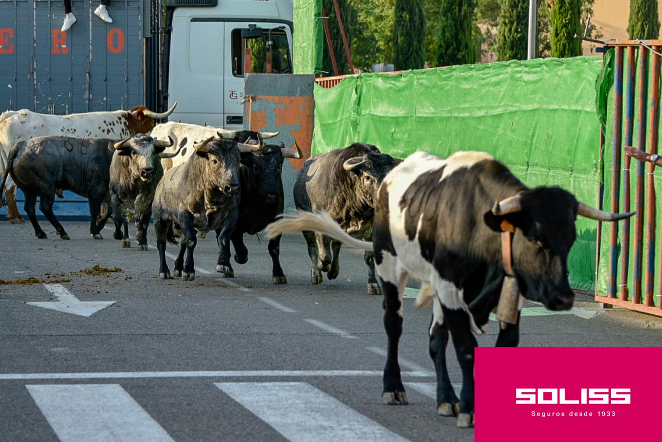 Primer encierro de las fiestas de Illescas