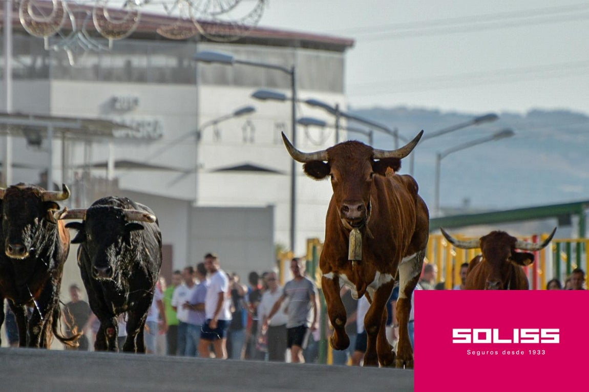 Primer encierro en Villaseca de la Sagra