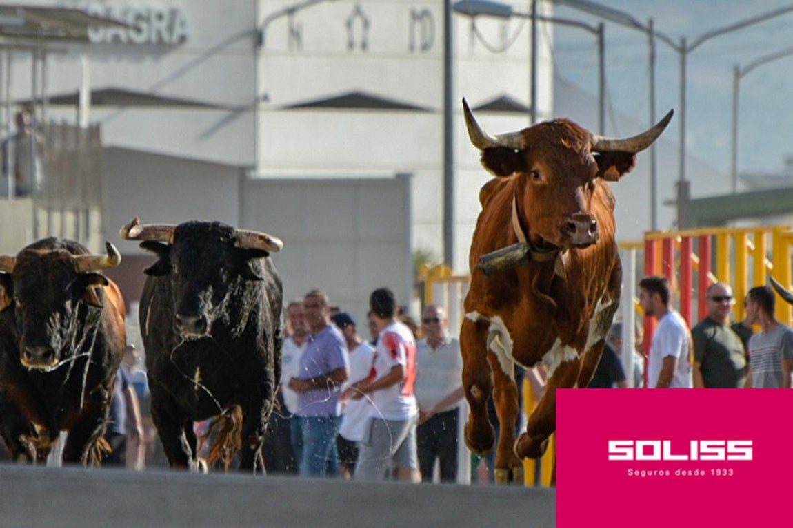 Primer encierro en Villaseca de la Sagra