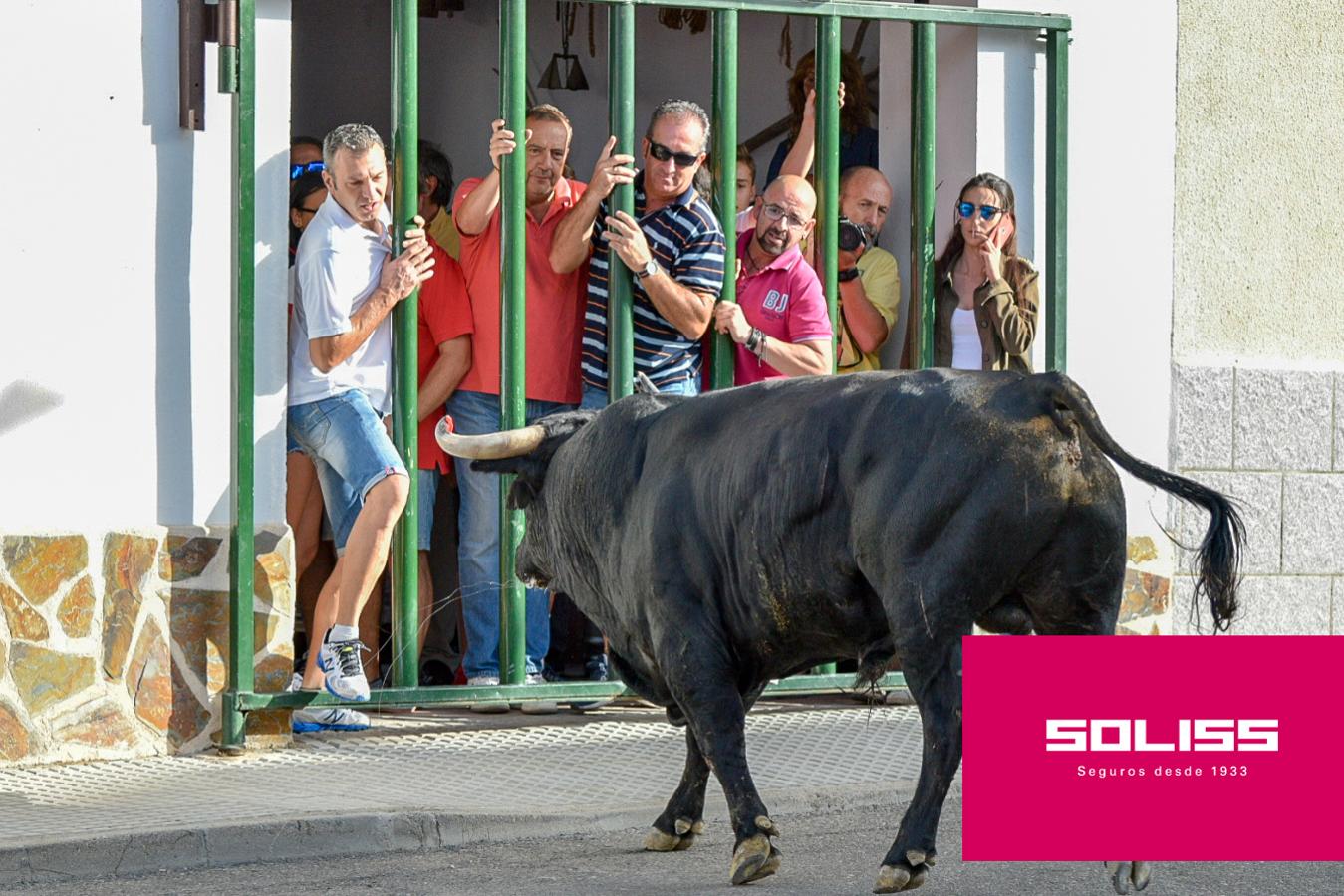 Primer encierro en Villaseca de la Sagra