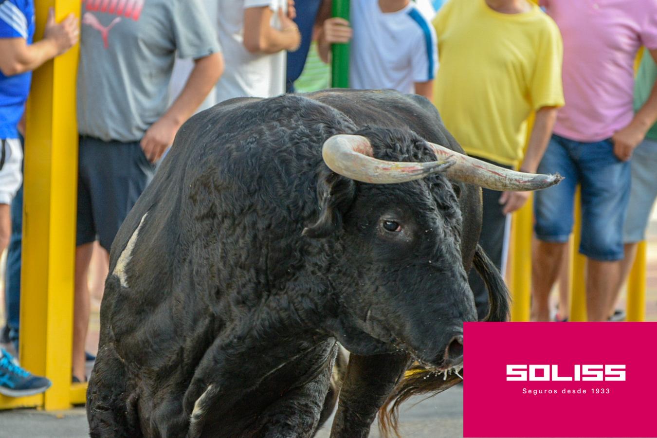 Primer encierro en Villaseca de la Sagra