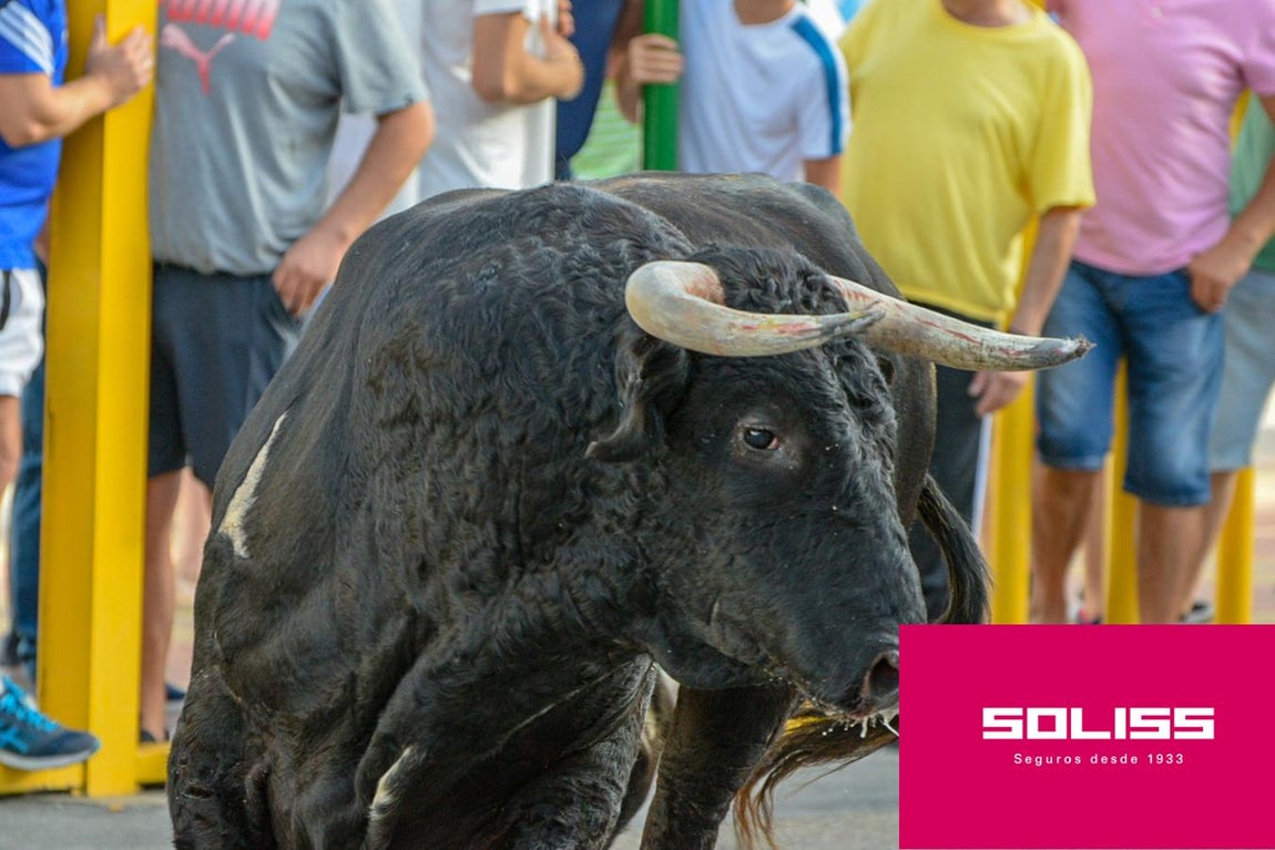 Primer encierro en Villaseca de la Sagra