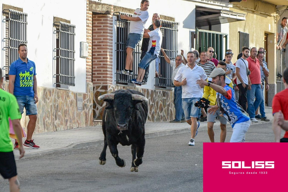 Primer encierro en Villaseca de la Sagra