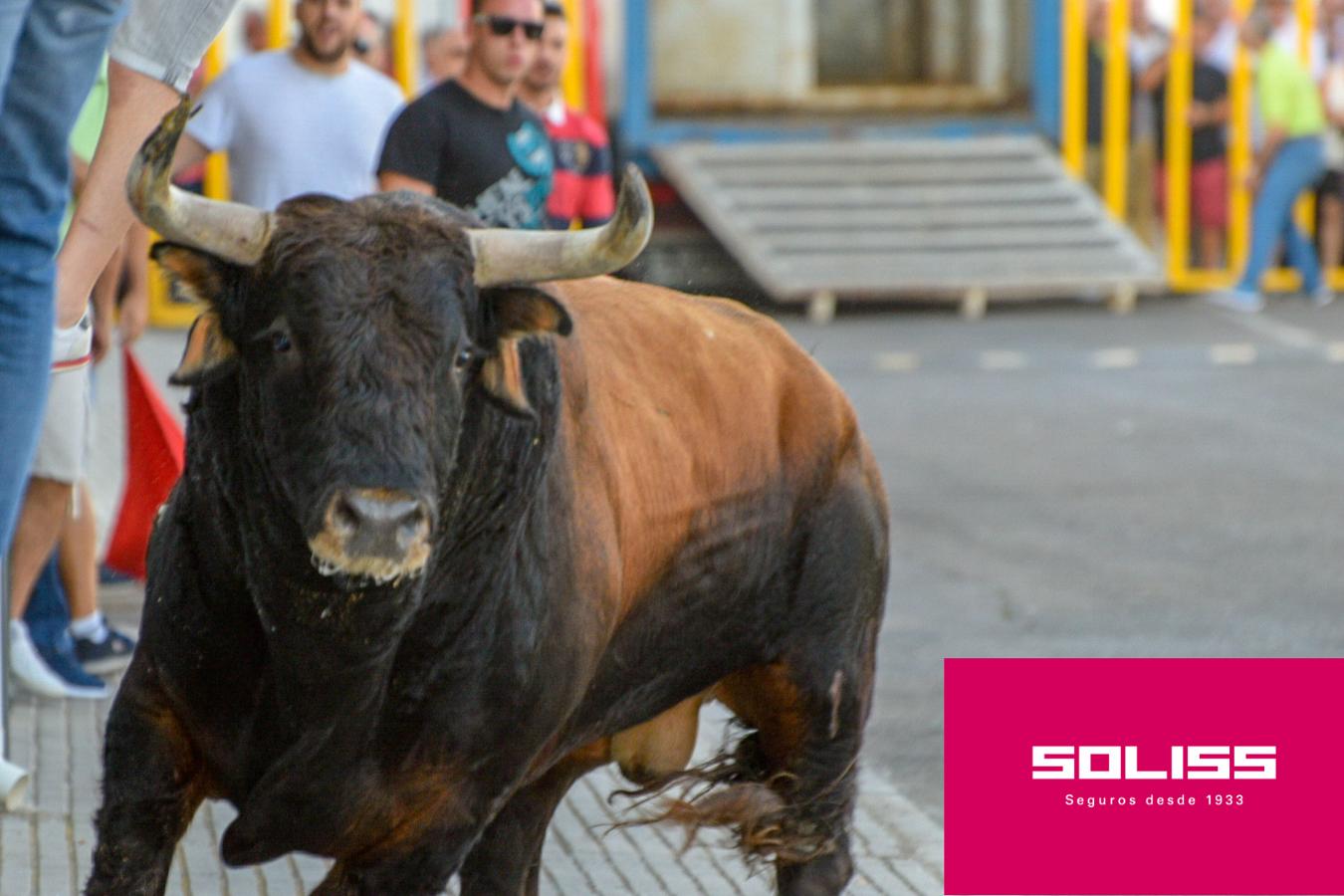 Primer encierro en Villaseca de la Sagra