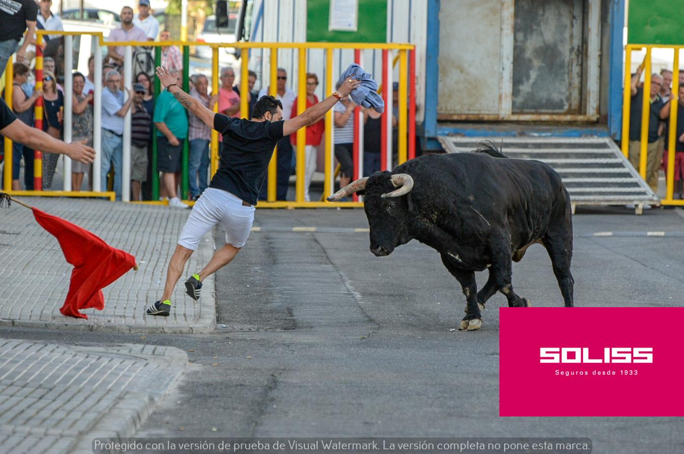 Primer encierro en Villaseca de la Sagra