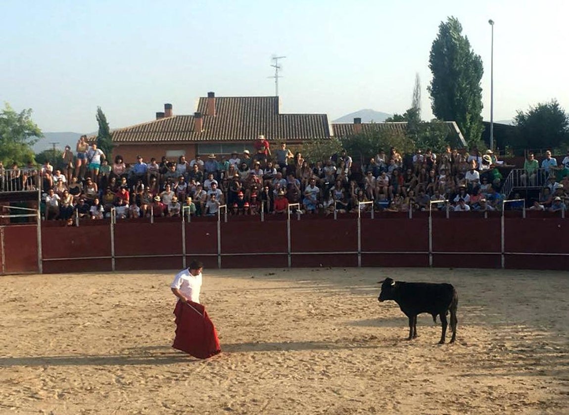 Becerrada popular en Menasalbas