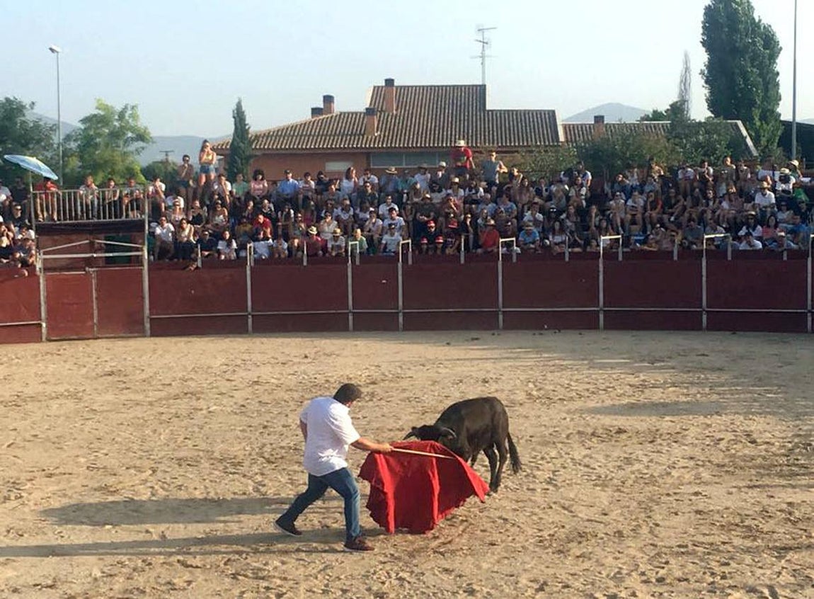 Becerrada popular en Menasalbas