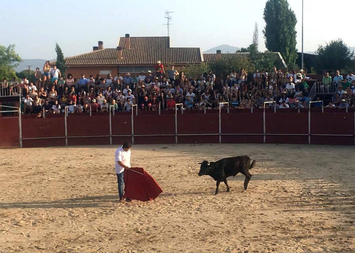 Becerrada popular en Menasalbas