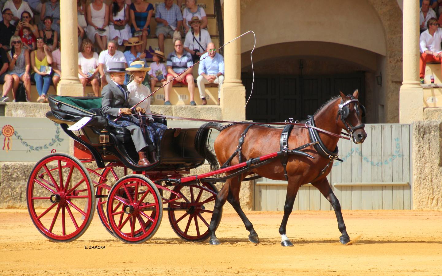 Lo mejor de la Exhibición de Enganches de Ronda