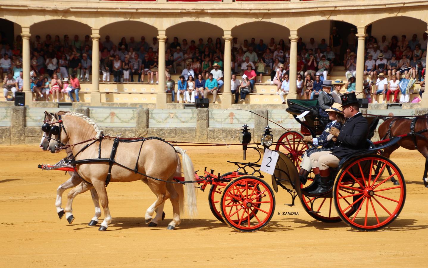 Lo mejor de la Exhibición de Enganches de Ronda