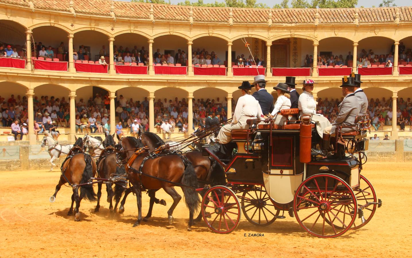 Lo mejor de la Exhibición de Enganches de Ronda