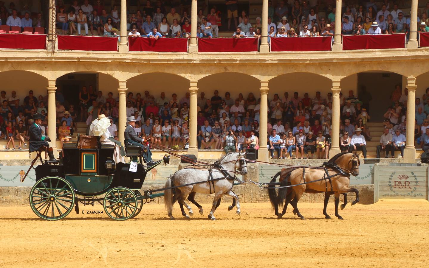 Lo mejor de la Exhibición de Enganches de Ronda