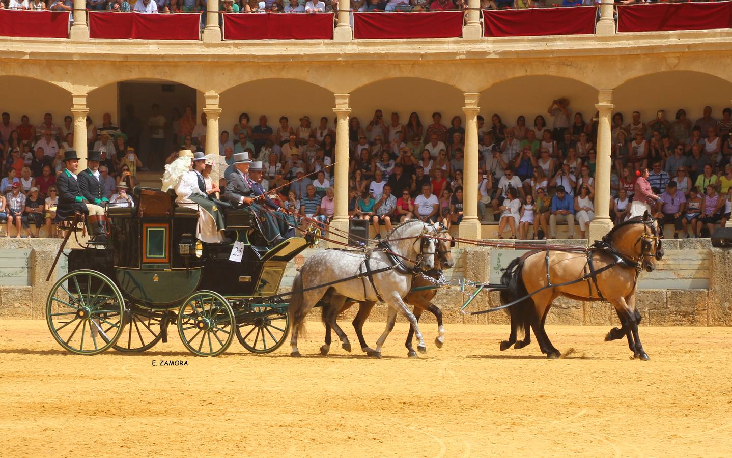 Lo mejor de la Exhibición de Enganches de Ronda